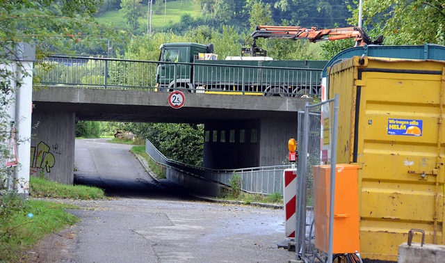 Schutz fr die Rhein-Au: Glsern wird ...eil der Wand wird aus Aluminium sein.   | Foto: Axel Kremp