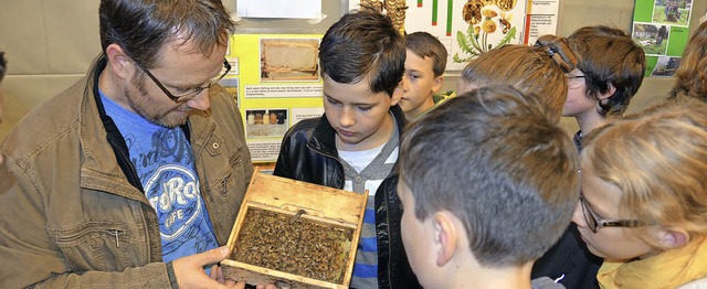 Auch eine Imkerei-Arbeitsgemeinschaft ...ern, wie ein Bienenvolk aufgebaut ist.  | Foto: Sebastian Barthmes