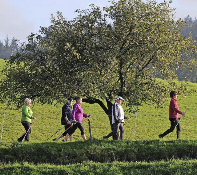 Gemeinsam macht Sport im Alter doppelt...211; so wie hier beim Nordic Walking.   | Foto: Patrick Seeger