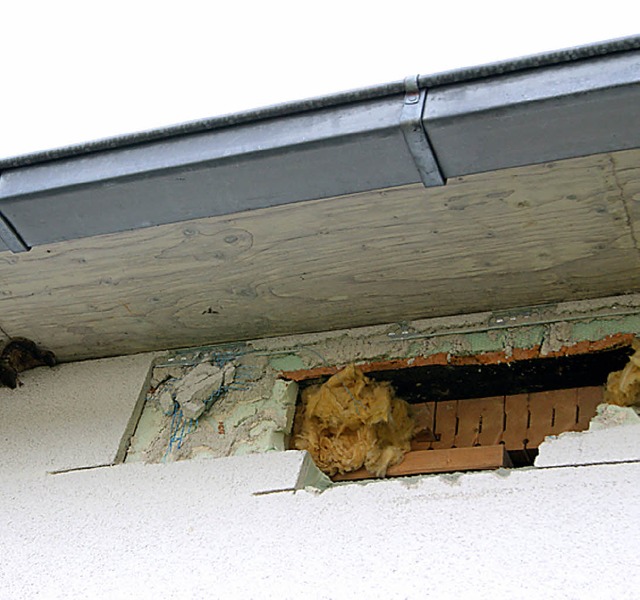 Untersuchungen  an  Fassade und Dach d...ggehsli besttigten wohl Baufehler.   | Foto: Schopferer