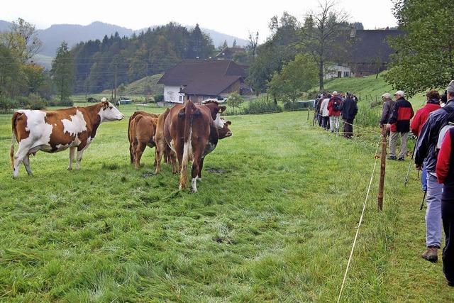 Ein Wanderparadies prsentiert sich