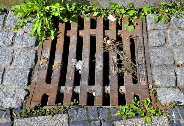 Saniert werden sollen auch die alten Kanaldeckel in Au.   | Foto: Steckmeister