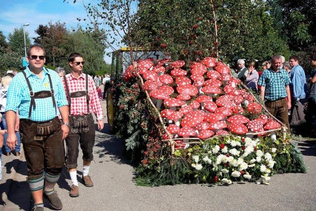 Bilder: Ernteumzug in Berau