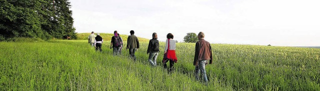 Einen Keltenpfad wird die Stadt am Mag...andern Besucher auf den Grabhgel zu.   | Foto: zvg