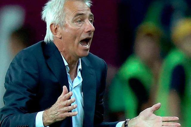 Wer coacht den HSV? van Marwijk contra Christian Gross