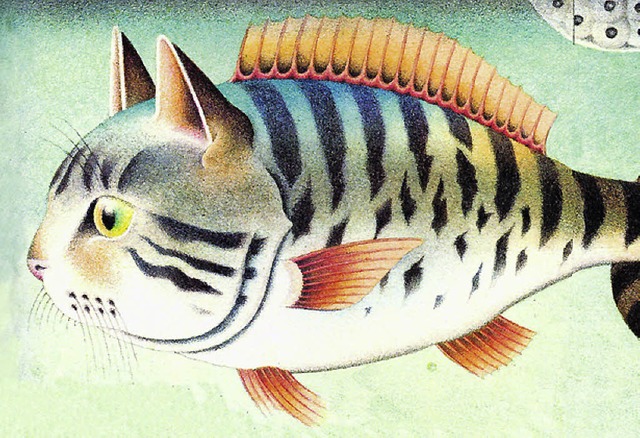 Seltenes Exemplar: der Katzenfisch  | Foto: verlag