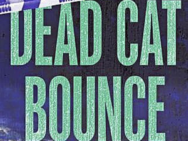 -Der Finanzwelt-Thriller &#8222;Dead Cat Bounce&#8220; von Nic Bennett  | Foto: -
