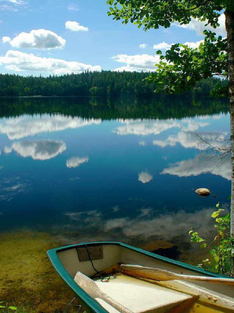 Ein einsamer See in Schweden
