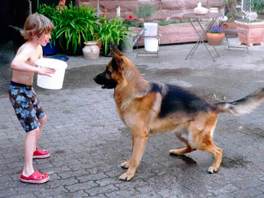Luca bergiet Hund Fyn mit Wasser