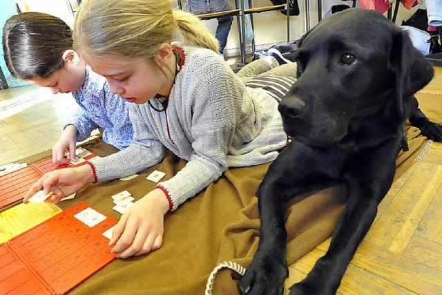 Tiere helfen heilen