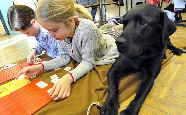Ein Hund in einem Klassenzimmer kann Teil eines pdagogischen Konzeptes sein.   | Foto: Ingo Schneider