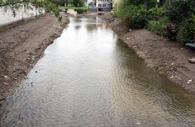 Niedrigwasser in Kenzingens &#8222;Kle... Am Wochenende endet der Elzabschlag.   | Foto: Werner Schnabl