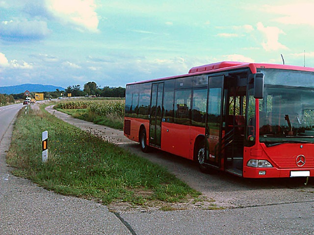 Entgegen der Fahrtrichtung kam der Bus auf dem Wirtschaftsweg zum Stehen.  | Foto: polizei