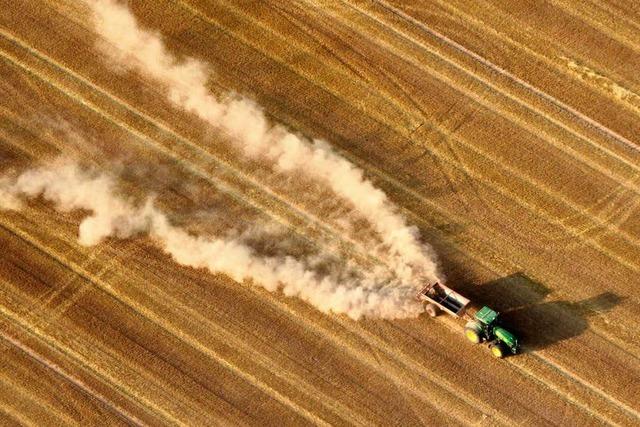 Agrarreform: Die groen Bauern gewinnen