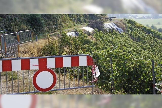 Wegen des Hangrutschs mssen Winzer ihre Ernte auf anderen Wegen einbringen