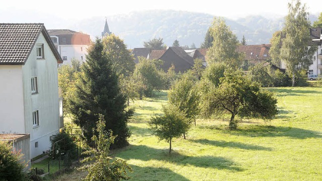 Die Hutmatt am Ortsausgang nach Hgelb...ssion um Erschlieungsthemen gedreht.   | Foto: Robert Bergmann