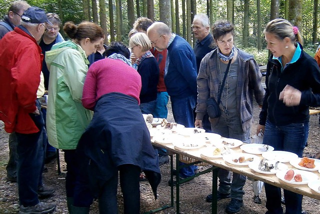 Die Ausbeute am Pilzerlebnistag in Wehr war gro.  | Foto: Gnter Kramer