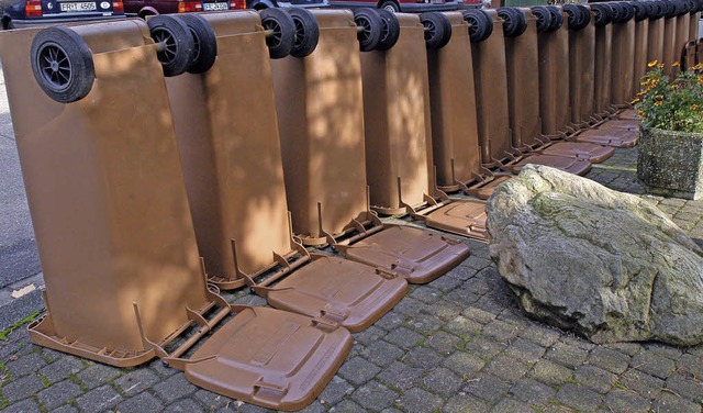 Biotonnen, hier in Freiburg,  mssen regelmig gereinigt werden.   | Foto: Ingo Schneider