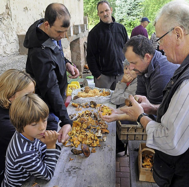 Dieter Kurz (ganz rechts) mit seinen Pilzsammlern   | Foto: Wolfgang Knstle