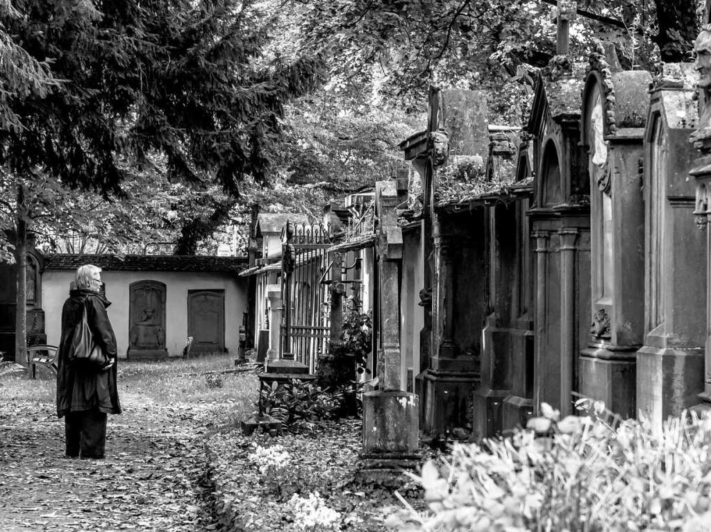 Der Alte Friedhof in Freiburg strahlt eine ganz besondere Atmosphre aus.