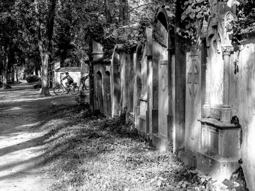 Der Alte Friedhof in Freiburg strahlt eine ganz besondere Atmosphre aus.