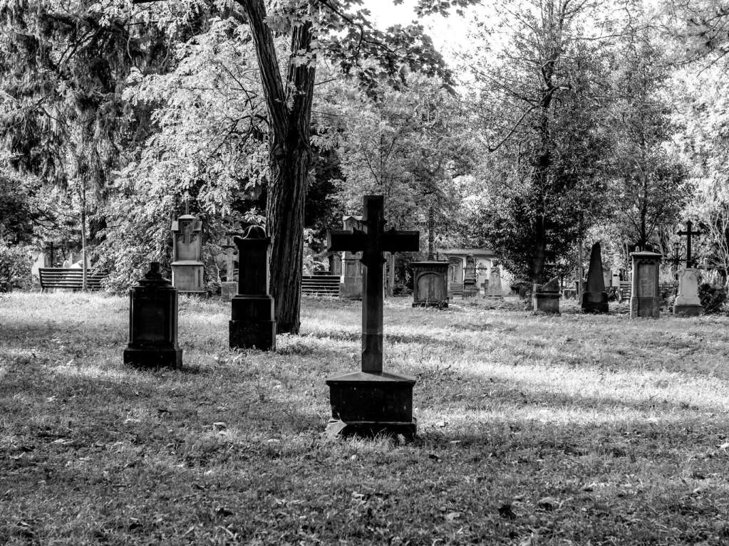 Der Alte Friedhof in Freiburg strahlt eine ganz besondere Atmosphre aus.