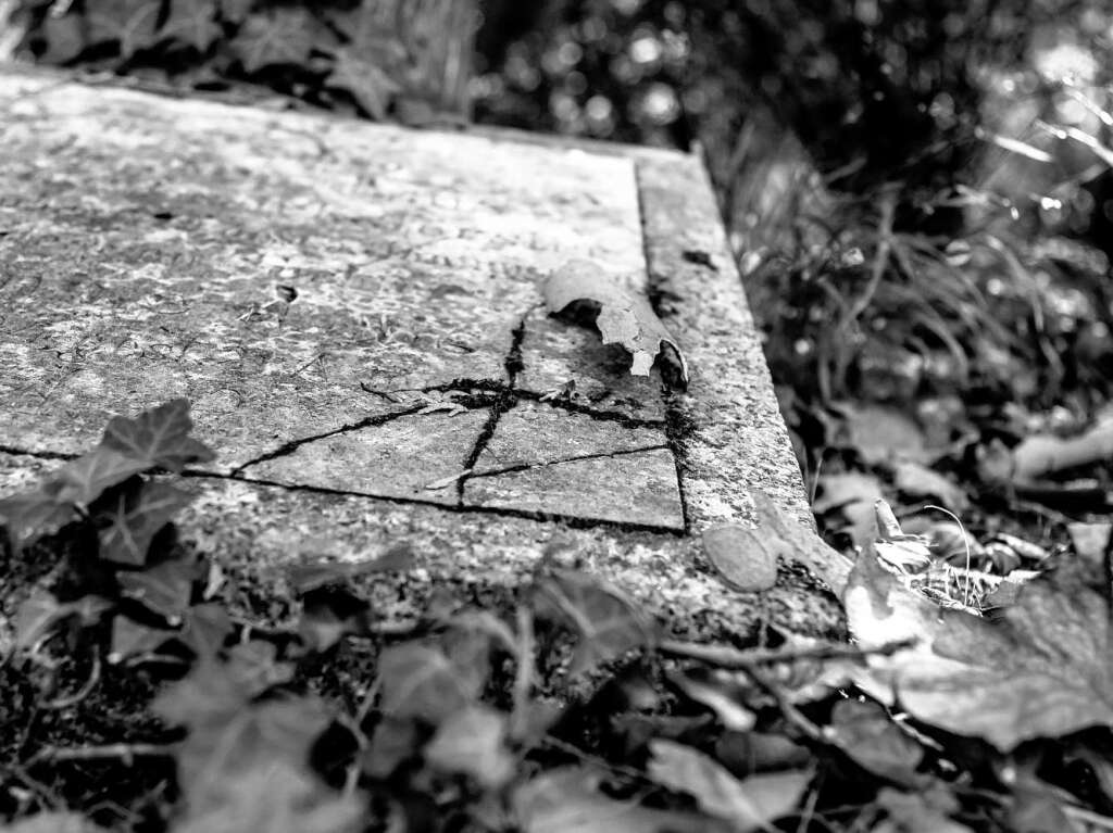 Der Alte Friedhof in Freiburg strahlt eine ganz besondere Atmosphre aus.