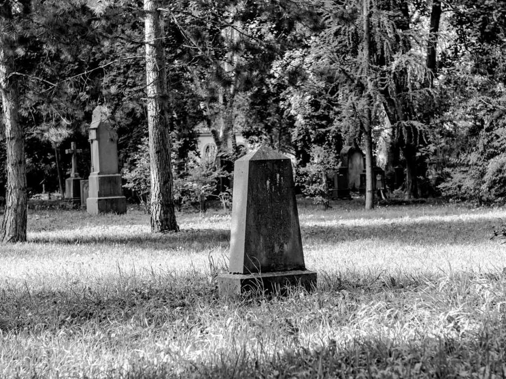 Der Alte Friedhof in Freiburg strahlt eine ganz besondere Atmosphre aus.