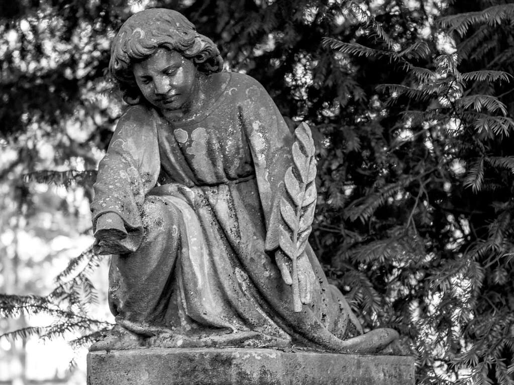 Der Alte Friedhof in Freiburg strahlt eine ganz besondere Atmosphre aus.