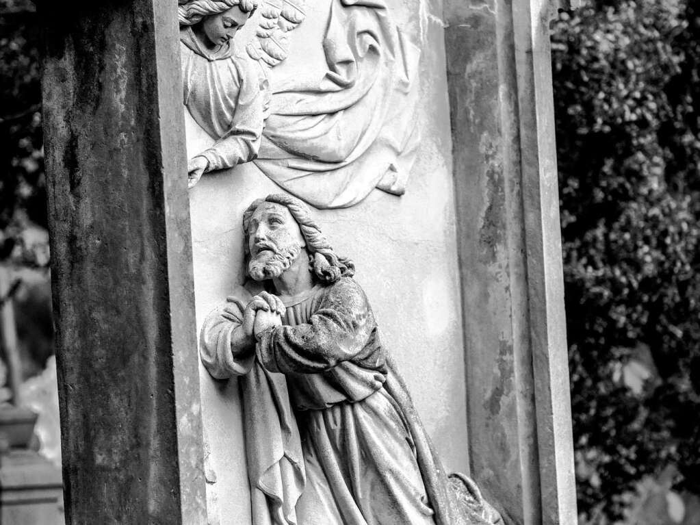 Der Alte Friedhof in Freiburg strahlt eine ganz besondere Atmosphre aus.