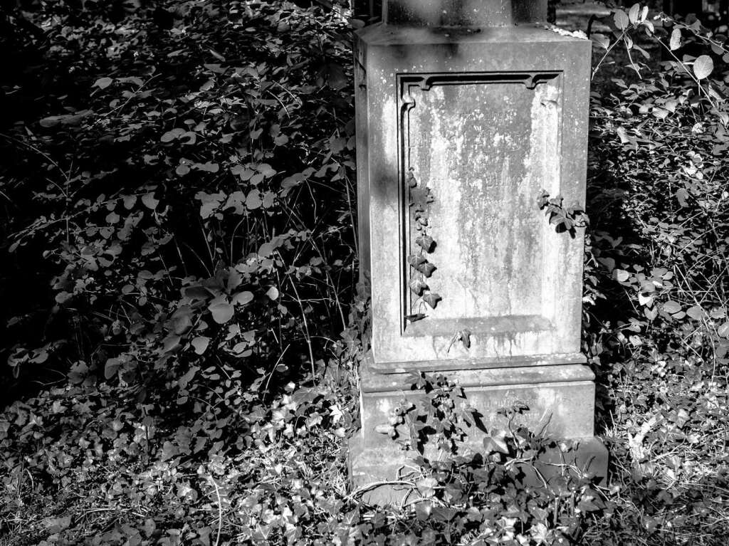 Der Alte Friedhof in Freiburg strahlt eine ganz besondere Atmosphre aus.