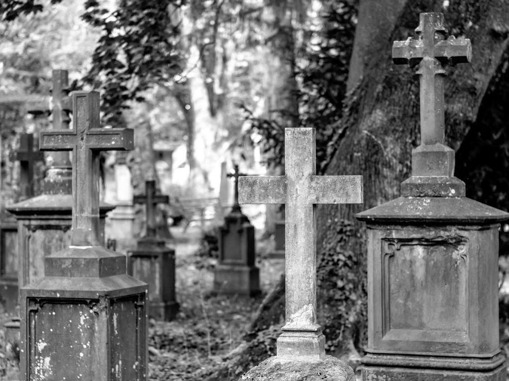 Der Alte Friedhof in Freiburg strahlt eine ganz besondere Atmosphre aus.