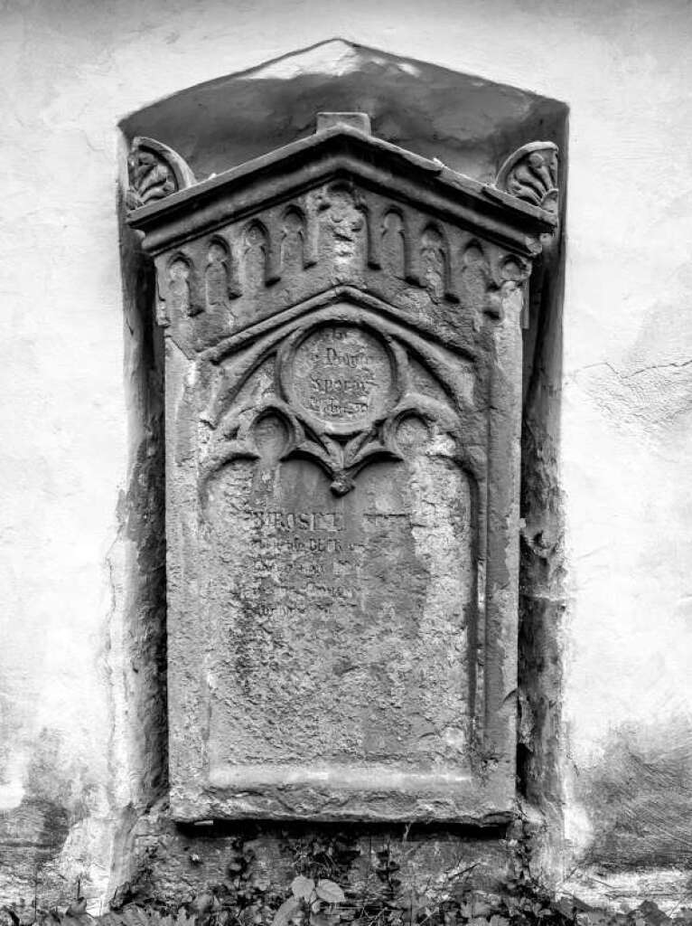 Der Alte Friedhof in Freiburg strahlt eine ganz besondere Atmosphre aus.