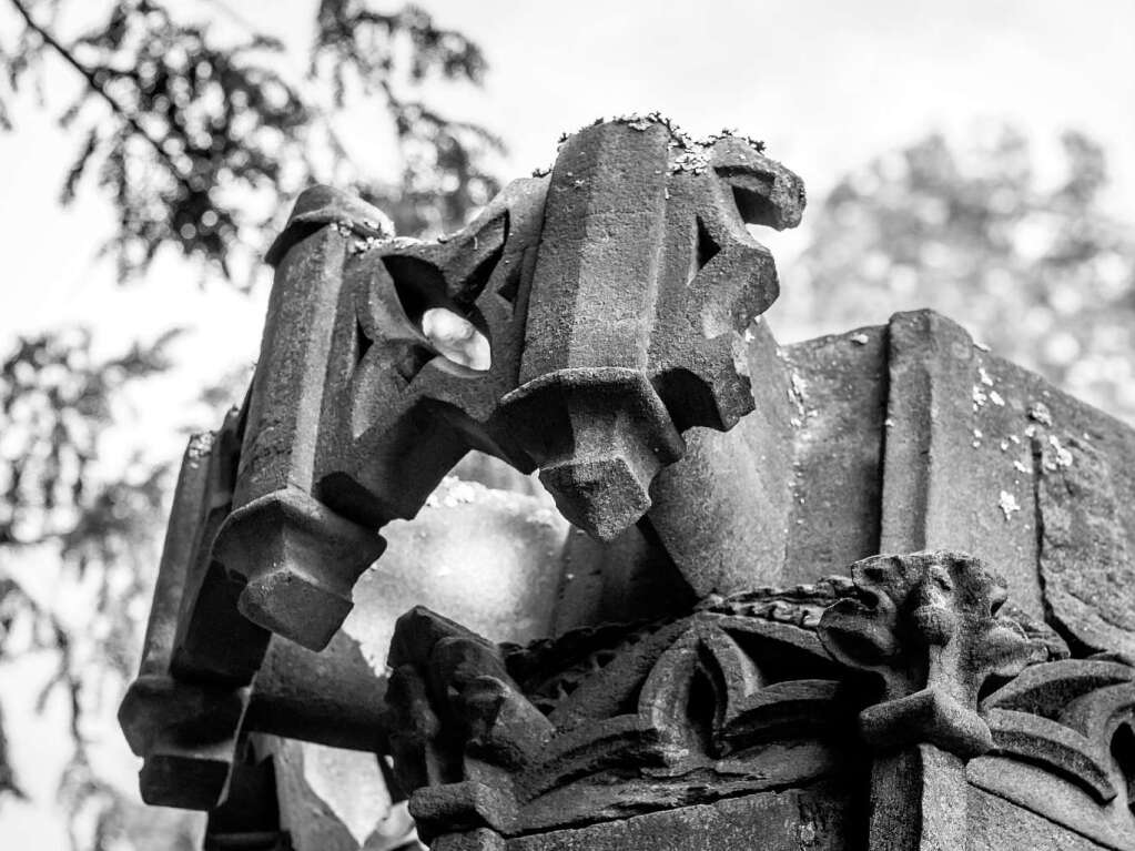 Der Alte Friedhof in Freiburg strahlt eine ganz besondere Atmosphre aus.