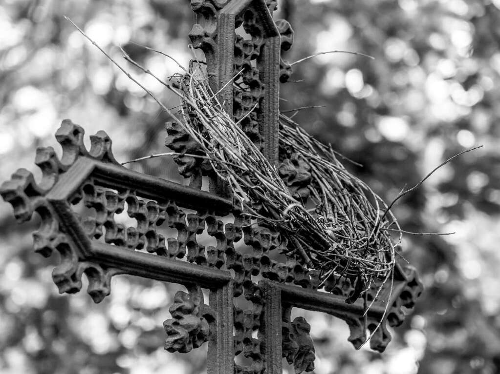 Der Alte Friedhof in Freiburg strahlt eine ganz besondere Atmosphre aus.