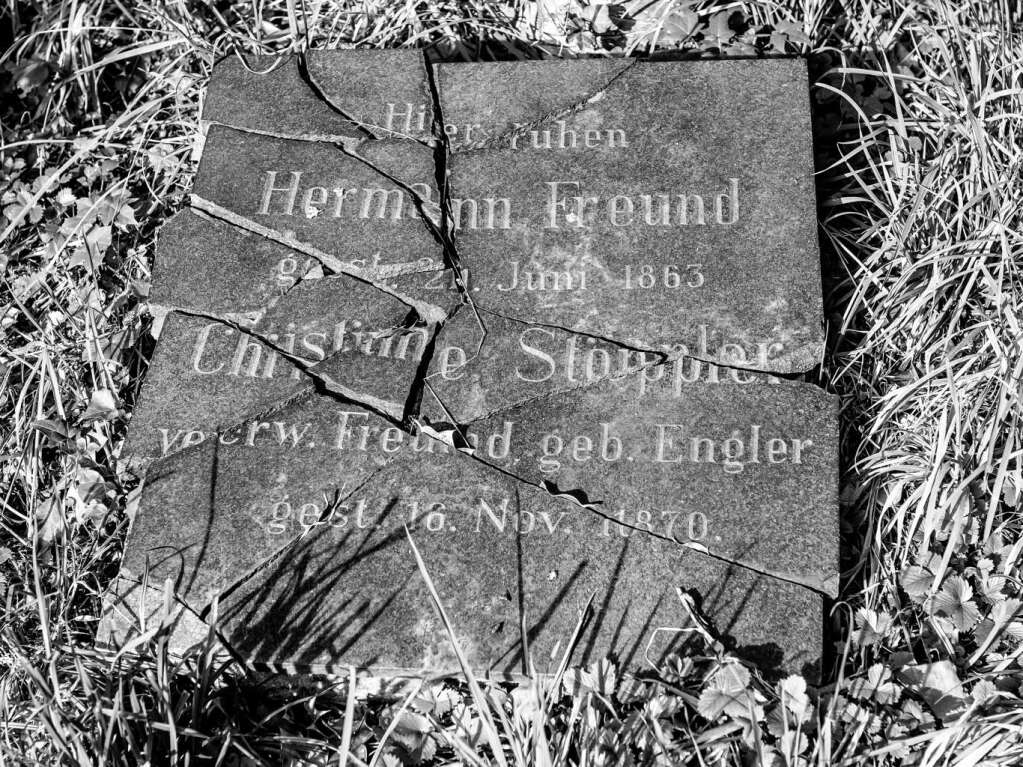 Der Alte Friedhof in Freiburg strahlt eine ganz besondere Atmosphre aus.