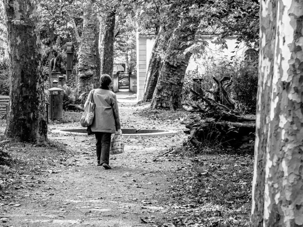 Der Alte Friedhof in Freiburg strahlt eine ganz besondere Atmosphre aus.