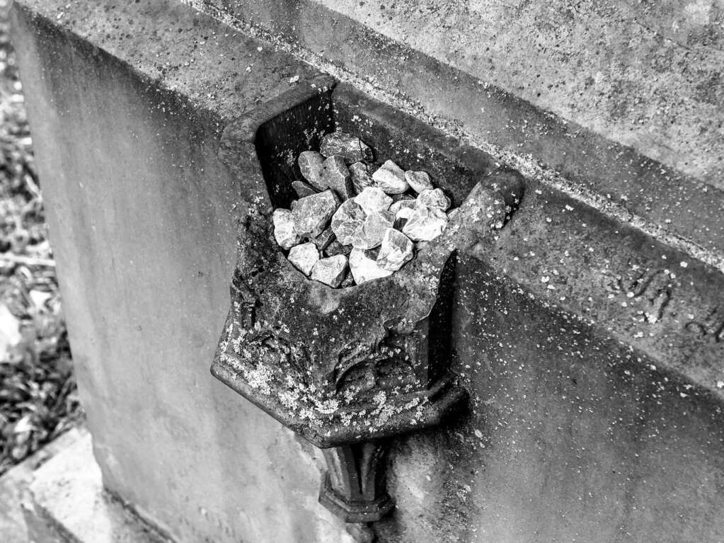 Der Alte Friedhof in Freiburg strahlt eine ganz besondere Atmosphre aus.