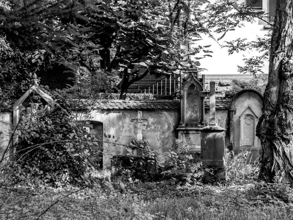 Der Alte Friedhof in Freiburg strahlt eine ganz besondere Atmosphre aus.