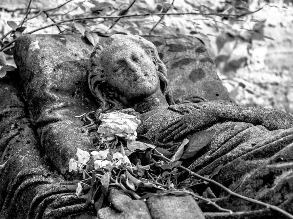 Der Alte Friedhof in Freiburg strahlt eine ganz besondere Atmosphre aus.