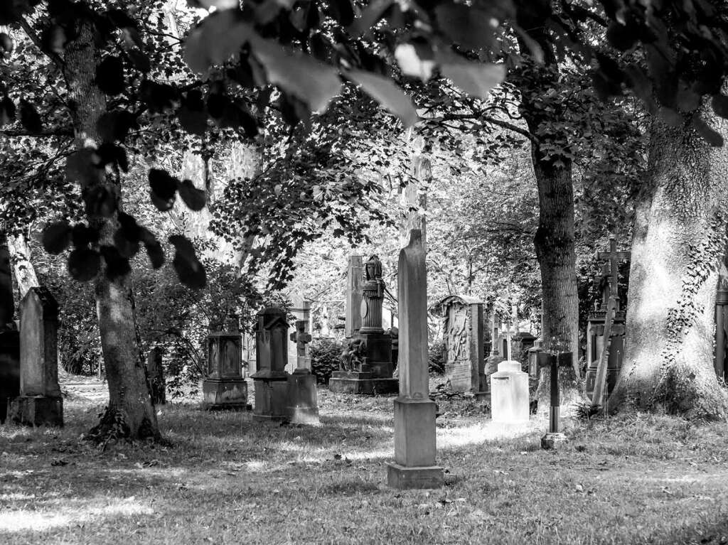 Der Alte Friedhof in Freiburg strahlt eine ganz besondere Atmosphre aus.