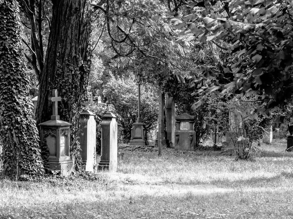 Der Alte Friedhof in Freiburg strahlt eine ganz besondere Atmosphre aus.