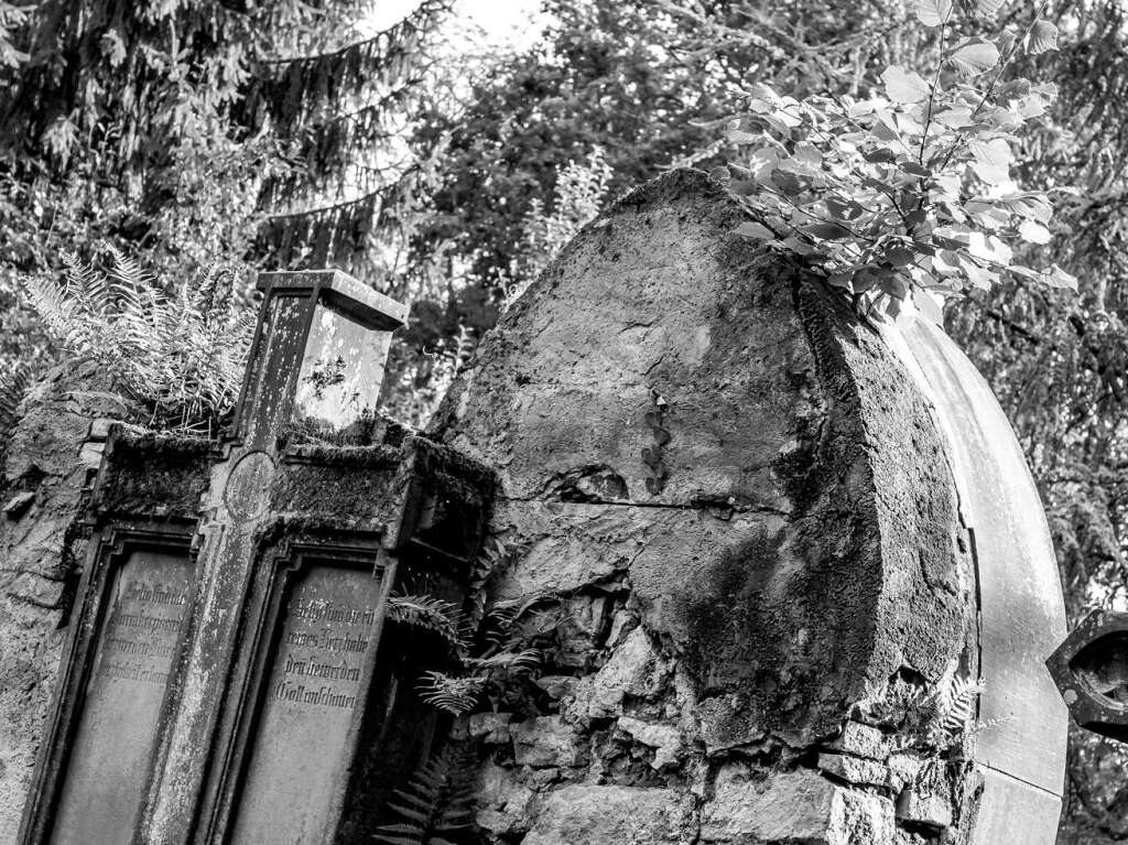 Der Alte Friedhof in Freiburg strahlt eine ganz besondere Atmosphre aus.