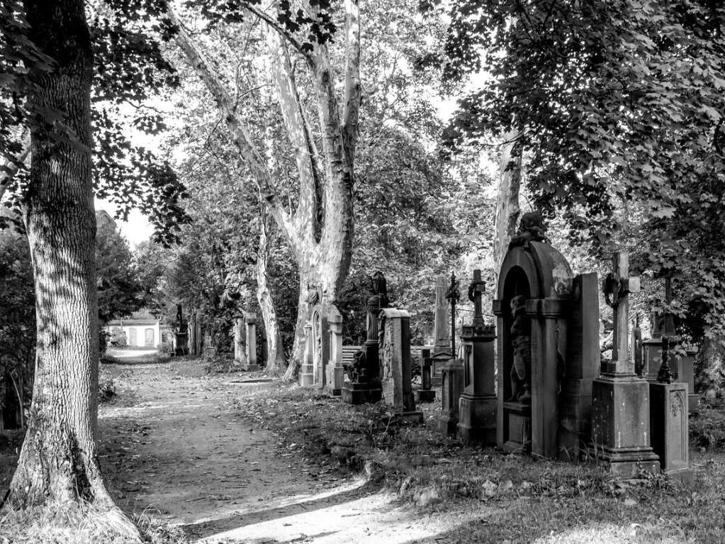 Der Alte Friedhof in Freiburg strahlt eine ganz besondere Atmosphre aus.