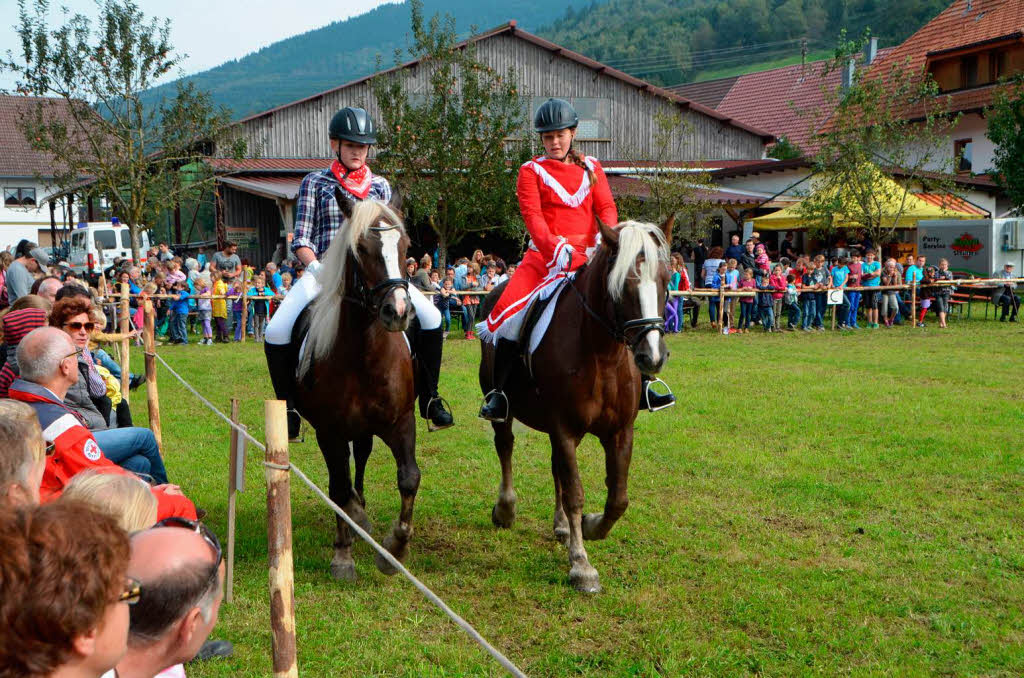 Impressionen vom Reit- und Fahrfest auf dem Faklerhof.