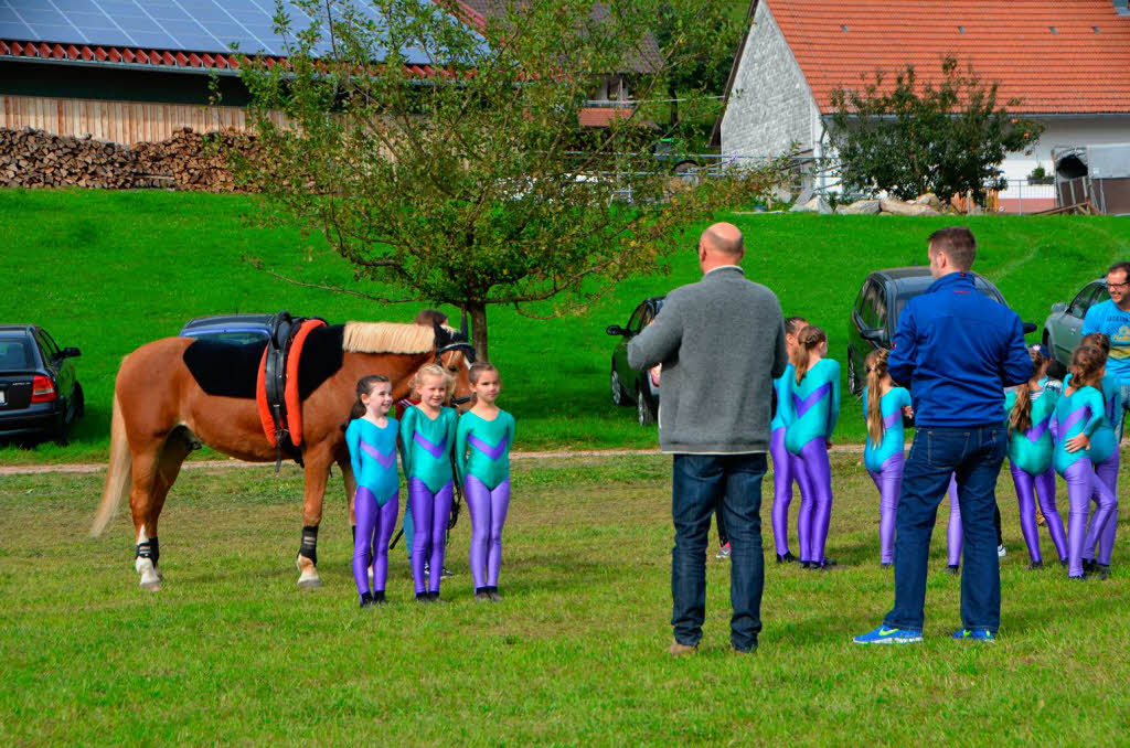 Impressionen vom Reit- und Fahrfest auf dem Faklerhof.