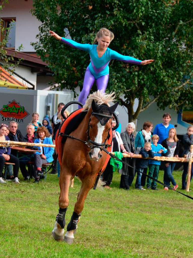 Impressionen vom Reit- und Fahrfest auf dem Faklerhof.