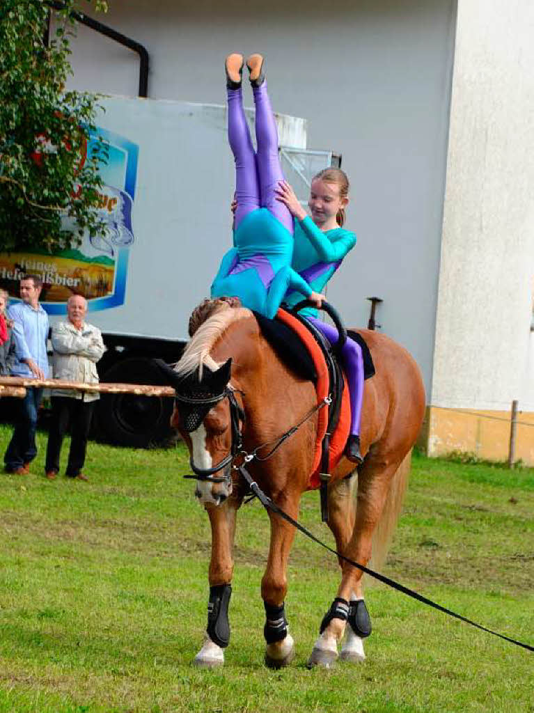 Impressionen vom Reit- und Fahrfest auf dem Faklerhof.