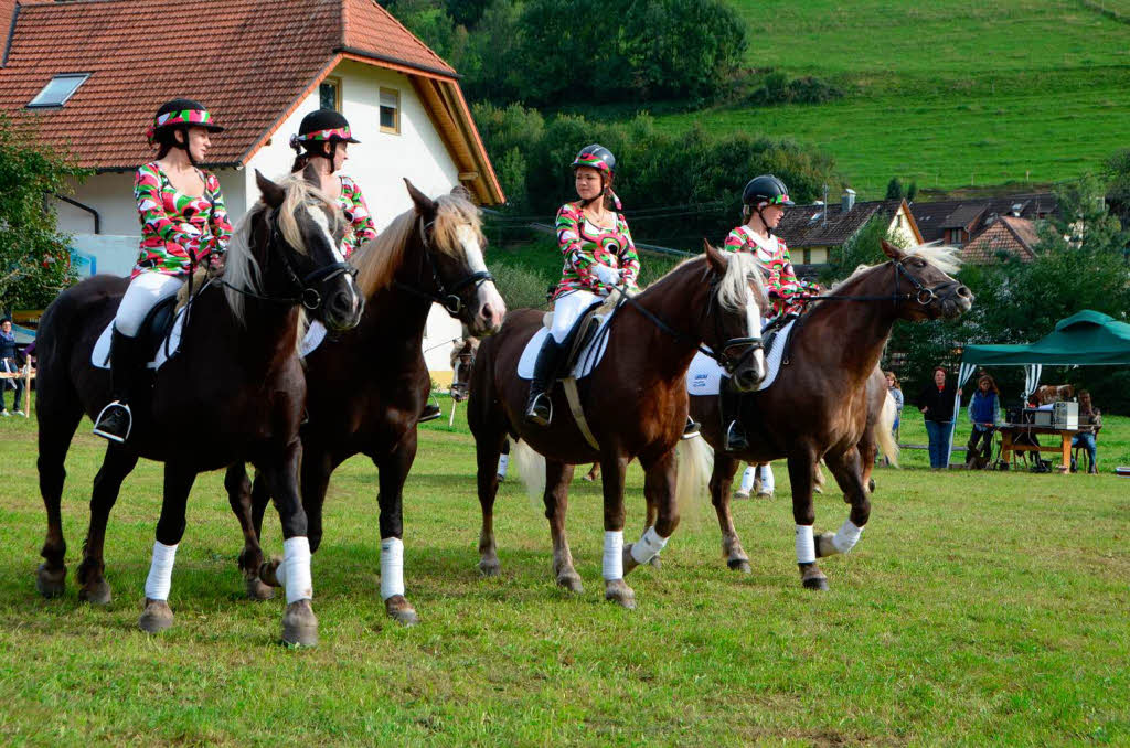 Impressionen vom Reit- und Fahrfest auf dem Faklerhof.