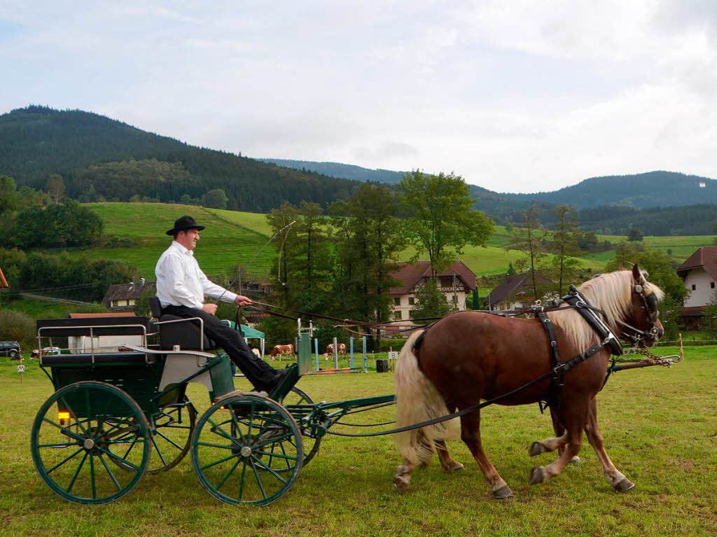 Impressionen vom Reit- und Fahrfest auf dem Faklerhof.